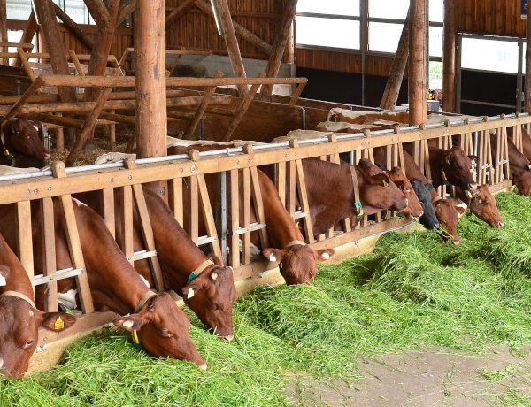 Landwirtschaftliche Fachschule Winklhof